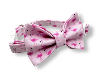 Flamingo's Cat Bow Tie & Matching Collar