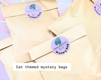 Cat Lover Mystery Bag | Gift for Cat and Owner