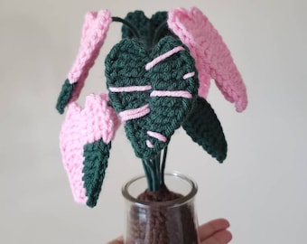 Pink Princess Philodendron Plant - Crochet Plant - Pink Princess House Plant - Indoor Plant - (Two versions - Staked or Not Staked)