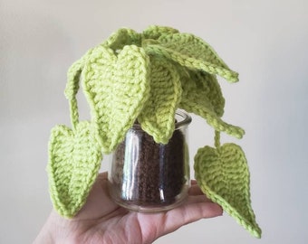 Neon Pothos House Indoor Plant Crochet Epipremnum Pinnatum