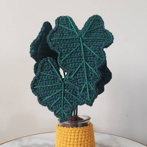 Alocasia Polly Alocasia frydek Crochet Indoor Plant With Pot Cover