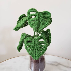 Monstera Deliciosa Crochet 2.0 Indoor House Plant - 2 Colors Available