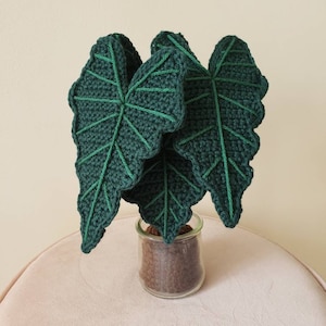 Alocasia Polly Alocasia frydek Crochet Indoor Plant With NO Pot Cover