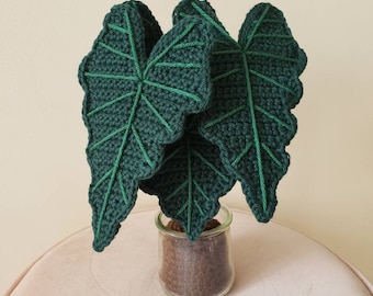Alocasia Polly Alocasia frydek Crochet Indoor Plant With NO Pot Cover