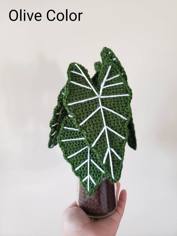 Alocasia Frydek - Forest Green