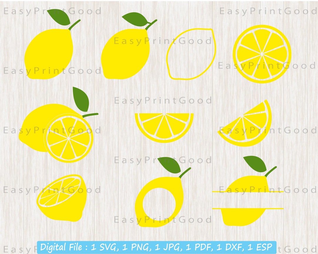 Lemon SVG Bundle, Lemon Svg, Summer Clipart, Lemon Slice Svg, Fruits ...