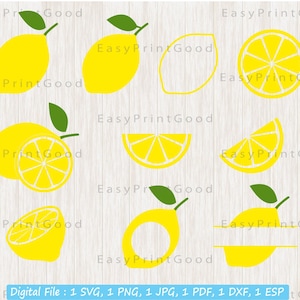 Lemon SVG Bundle, Lemon Svg, Summer Clipart, Lemon Slice Svg, Fruits Svg, Silhouette Svg, Lemonade Svg, Lemon Frames Svg, Cut file, Cricut