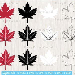 Kanadische Ahorn Blatt Bundle Svg, Ahornblatt, Ahornblatt Umriss, Kanada, Herbst, Ahorn Blatt Clipart, Ahornblatt Silhouette, geschnitten eisern Datei, Cricut
