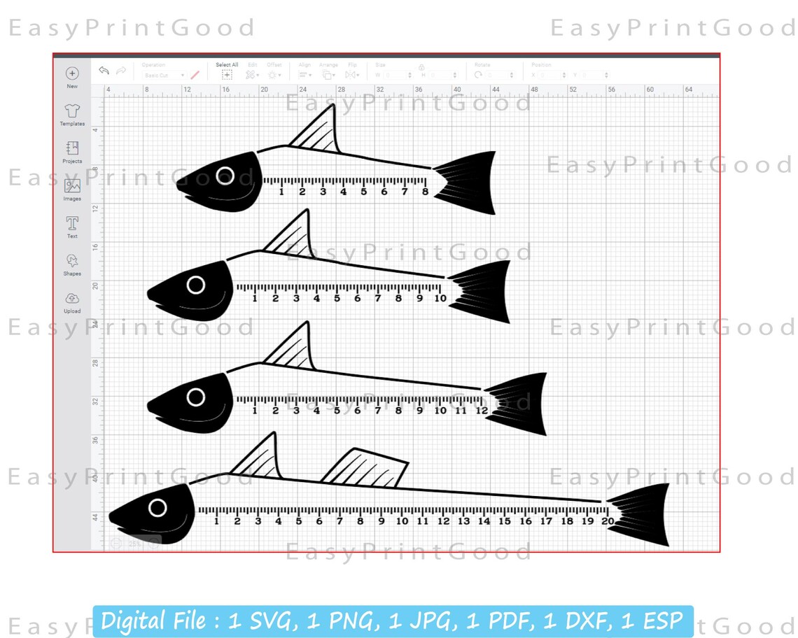 Download Fish Ruler Svg Fishermans Ruler Fish Ruler Clipart Fish | Etsy