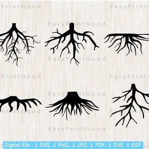 Clipart SVG de racines d&#39;arbre : vecteur de racines de famille, fichier de coupe Cricut (téléchargement numérique)