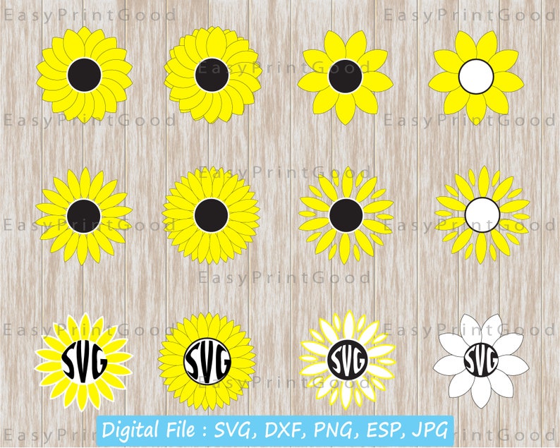 Download Sunflowers Svg Sunflowers Monogram Frame Svg Sunflowers | Etsy