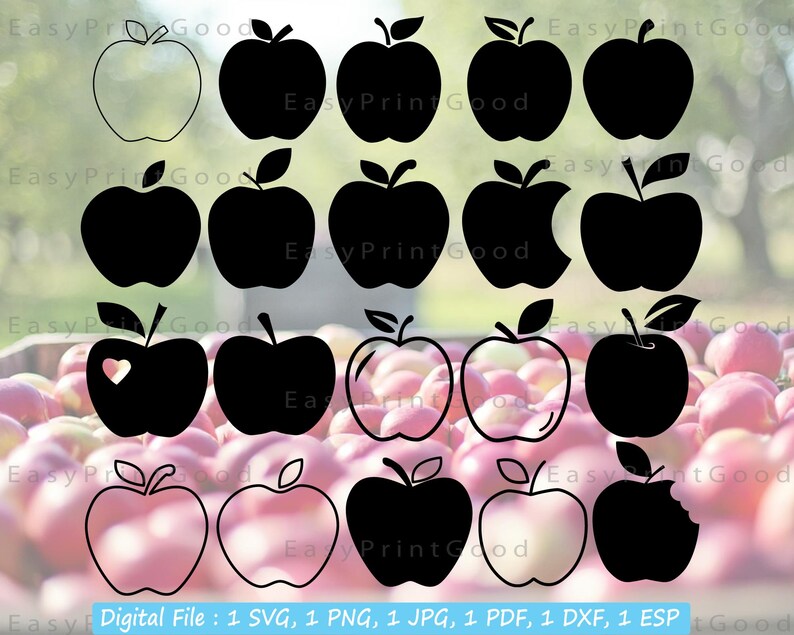 Download Apple Silhouette Back To School Cut File School Svg Teacher Svg Apple Clipart Apple Vector Cricut Svg 20 Apple Svg Fruit Svg Clip Art Art Collectibles Deshpandefoundationindia Org