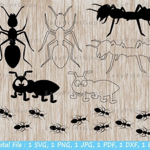 Ant Svg, Insect Svg, Ant Clipart, Ant Vector, Ants Bundle, Ant Cut Files For Silhouette, Ant Stencil, Black, Ant Files for Cricut, Ant Logo