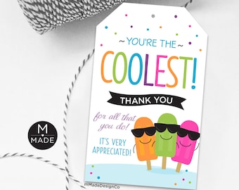 Ice Pops Thank You Tags Employee Appreciation Gift Tags Office Teacher Team Ice Cream Freezer Pops You're The Coolest Staff Recognition Tag