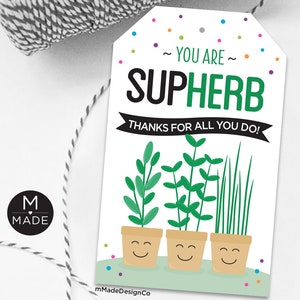 Étiquettes de remerciement Vous êtes formidable Étiquettes de remerciement Merci pour tout ce que vous faites Étiquettes-cadeau d'herbes aromatiques