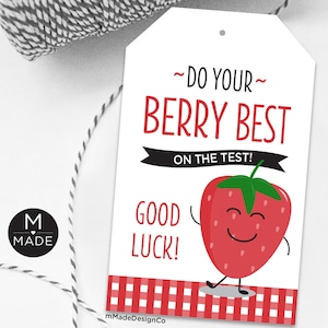 Etiquetas de boa sorte para o dia do teste Faça o seu melhor no teste Morango Frutas vermelhas Lanches Caixa de suco Etiquetas de presente para teste de boa sorte para a escola para impressão