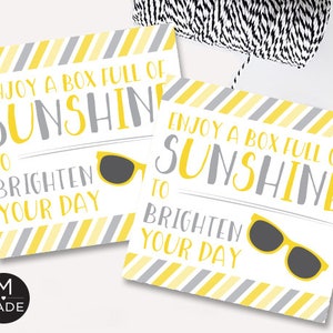May include: Two yellow and gray striped gift tags with the text "Enjoy a box full of sunshine to brighten your day" and a pair of sunglasses. The tags are perfect for a gift basket or a small gift.