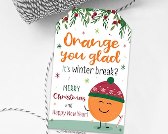 Orange Sie froh, dass es Winter-Pause Geschenkanhänger Schule Klassenzimmer Lehrer Wertschätzung Schüler Urlaub Geschenkanhänger für Orangen Obst Weihnachten Tags