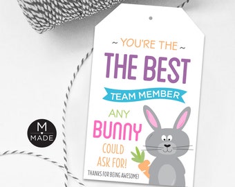 You're The Best Team Member Any Bunny Could Ask For Tags, Team Easter Gift, Employee Appreciation, Office Easter Tag, Team Thank You Tags