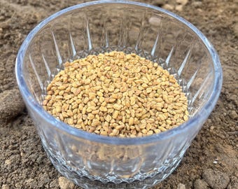 Organic Fenugreek Seed Powder - Natural Dana Methi