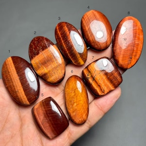 May include: A collection of eight polished tiger's eye gemstones in various shapes, including oval and rectangular. The stones display rich hues of brown, gold, and red, with visible chatoyancy. The gemstones are held in a hand.