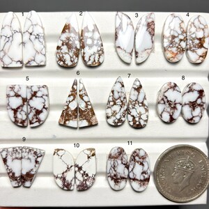 May include: A collection of eleven pairs of white and brown turquoise cabochons in various shapes, including teardrop, oval, and rectangular. The stones display intricate brown veining patterns. A coin is included for size reference.