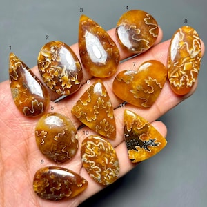May include: A collection of eleven polished amber-colored fossil stones, each with unique patterns and shapes. The stones vary in size and include teardrop, oval, and heart shapes. The intricate designs resemble natural formations.