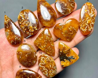 Ammonit-Blatt-Muster-Edelstein, AAA + Qualität 100% natürlicher Ammonit-Cabochon-loser Edelstein für die Schmuckherstellung
