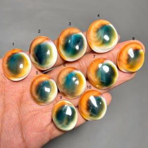 Australien Shiva ögonskal ädelsten, högsta kvalitet 100% naturlig Shiva ögonskal cabochon lös ädelsten för att göra smycken