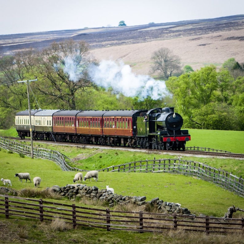 Steam Train Experience