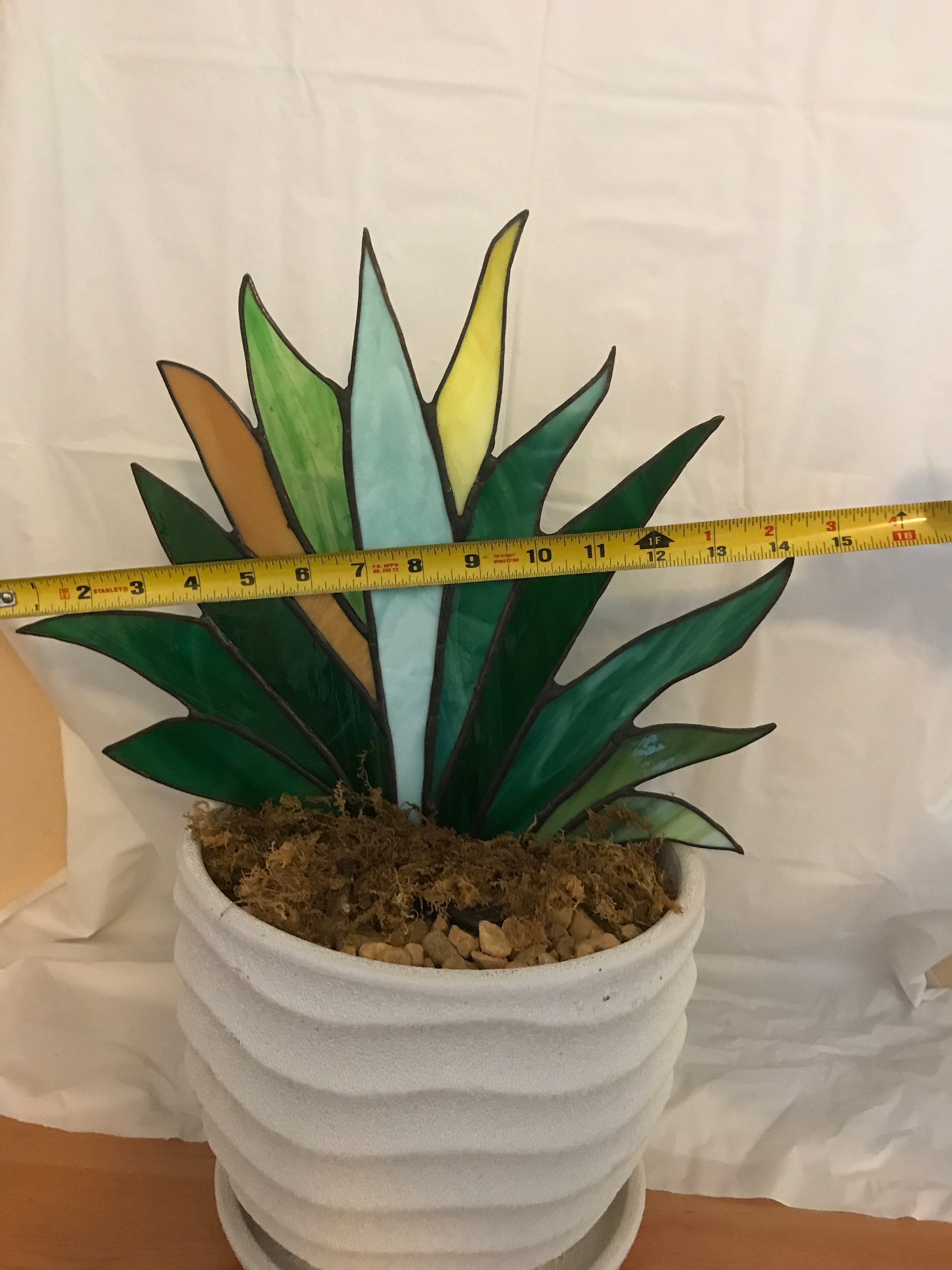 Agave Stained Glass Plant the Plant That Lives Forever Etsy