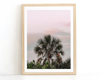 Sarasota Beach Palm Print, Florida Sunset Photography