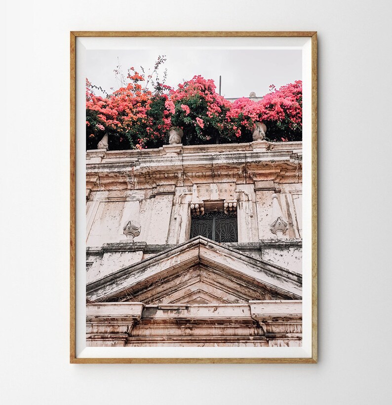 May include: A pink bougainvillea plant growing over a white building with a decorative archway and a window with a black metal gate. The building has a weathered, aged look.