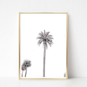 Black and White Palm Tree Print // Printed Artwork// Palm Tree print // California beach photography