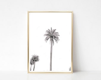 Black and White Palm Tree Photography Print, California Beach Art