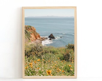 ビンテージ カリフォルニア ポスター、ミッドセンチュリー モダン