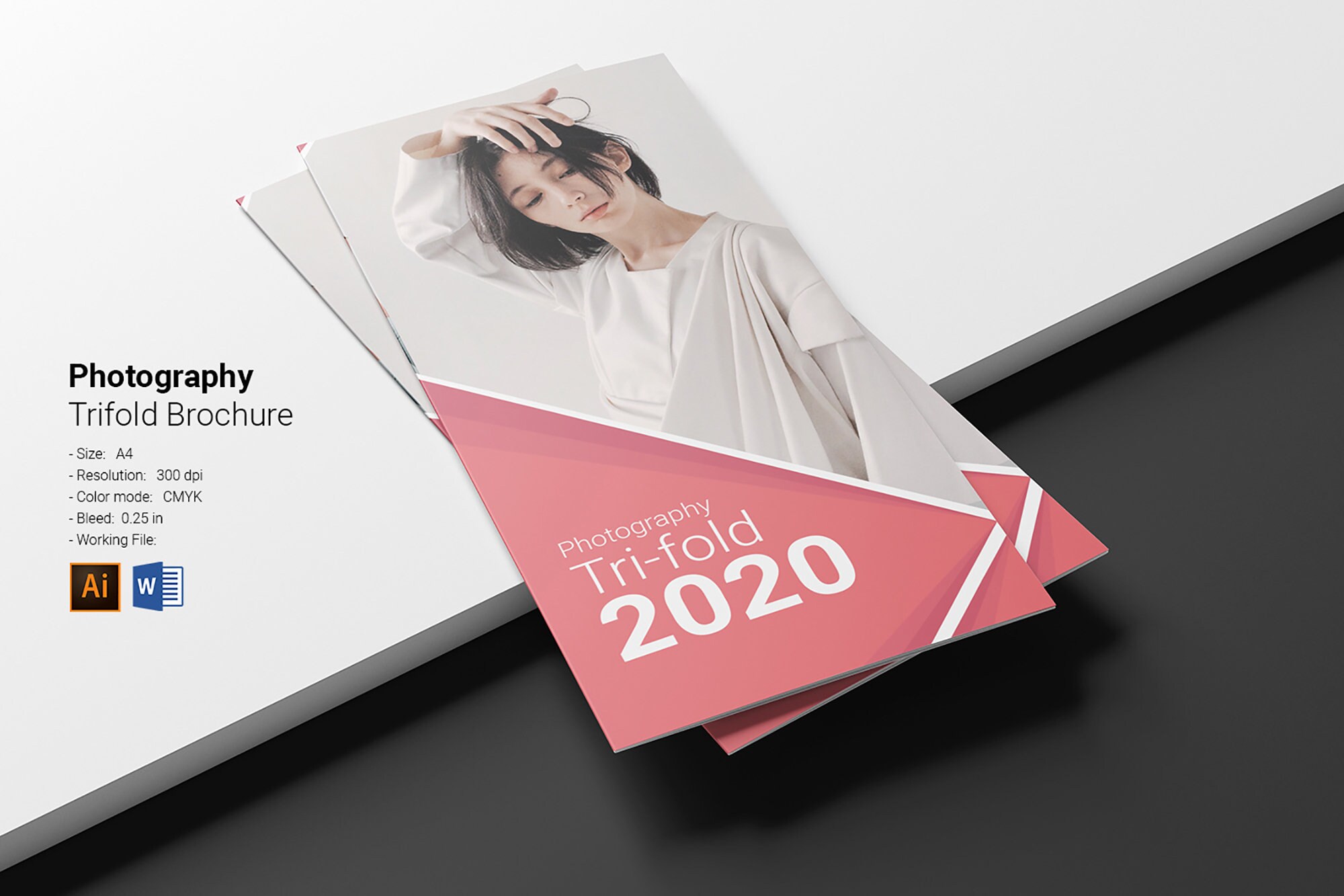 Photography Trifold Brochure  | Printable Design Template | Illustrator and MS Word Template | Instant download