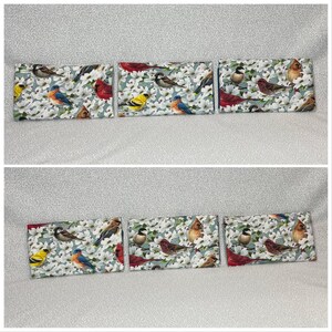Las alegrías de spring birds wallet