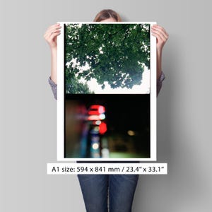Fine art photography -  35mm film photography - Museum-Quality Matte Paper Poster