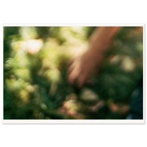Colour Photography -  Fine Art Photography - Abstract art  - Museum Matte Quality Print Poster