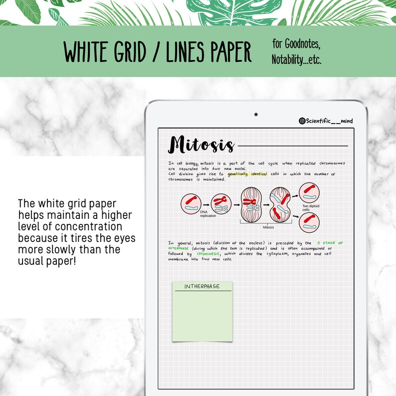 white grid lines paper goodnotes interactive template ipad