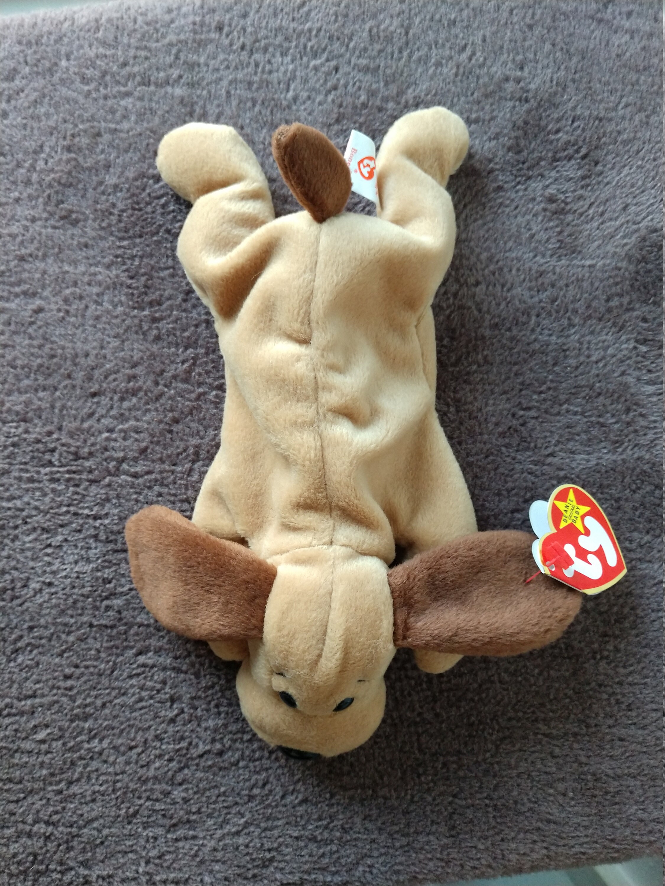 BONES The Dog TY Original Beanie Baby 1993 Etsy