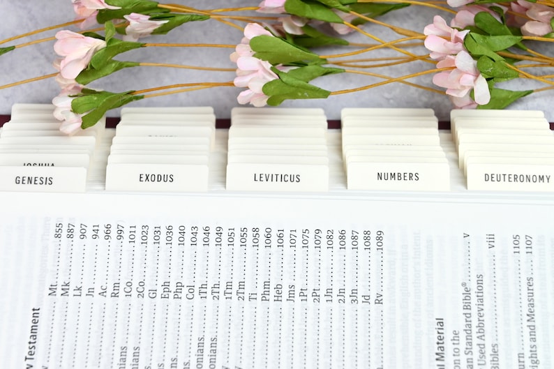 May include: A close-up of a Bible with white tabs marking each book of the Old Testament. The tabs are labeled "Genesis", "Exodus", "Leviticus", "Numbers", and "Deuteronomy".