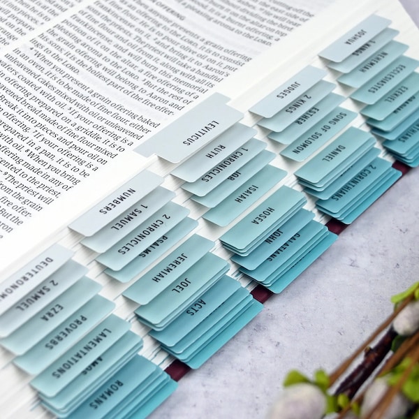 Grey to Blue Bible Tabs: Laminated Christian Study Gift