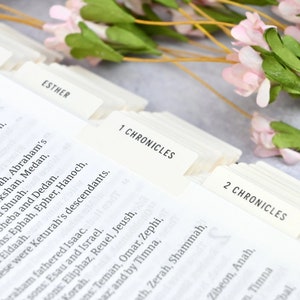 Cream Bible Tabs - Standard & Catholic | Matte Laminated | Double Sided | Self Adhesive | Devotional Study | Christian Religious Gift -v.7