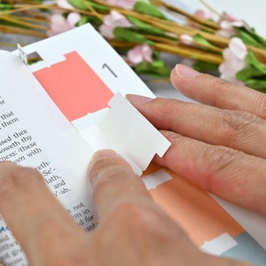 May include: A close-up of a hand using a white page tab to mark a page in a book. The page tab is being placed over a pink page tab. The book is open to Deuteronomy 2:13.