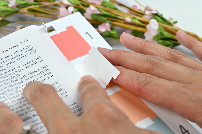 May include: A close-up of a hand using a white page tab to mark a page in a book. The page tab is being placed over a pink page tab. The book is open to Deuteronomy 2:13.