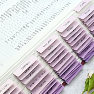 Lavender to Purple Bible Tabs - Standard & Catholic | Laminated | Double Sided | Christian Gift | Womens Study | Devotional | Journal v.7