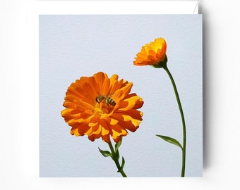 Marigold and honey bee greeting card - marigold flowers card - floral cards blank - bee and flowers card