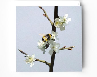 Bee and blossom watercolour collage card - Bee Greeting Card - Spring blossom card - Pear blossom card - Bumble bee card